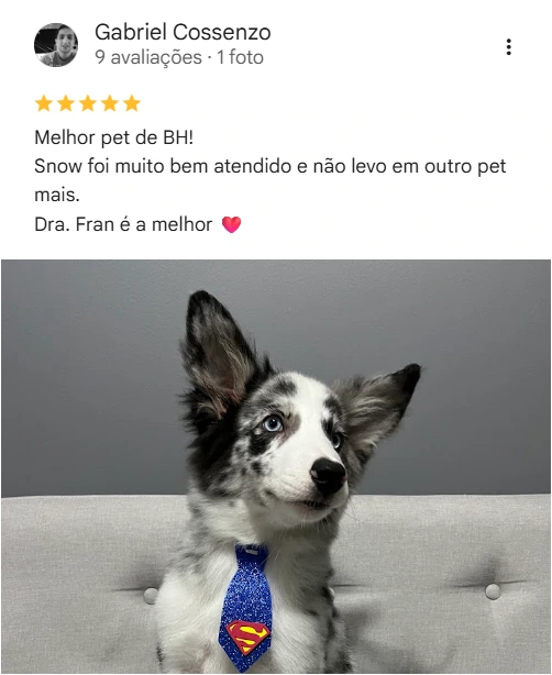 Avaliação 5 estrelas no Google