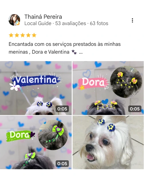 Avaliação 5 estrelas no Google