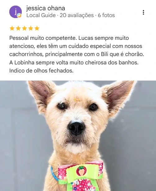 Avaliação 5 estrelas no Google