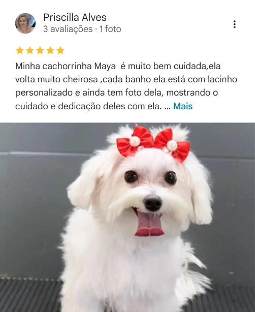 Avaliação 5 estrelas no Google