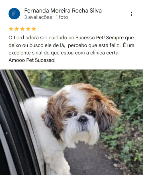 Avaliação 5 estrelas no Google